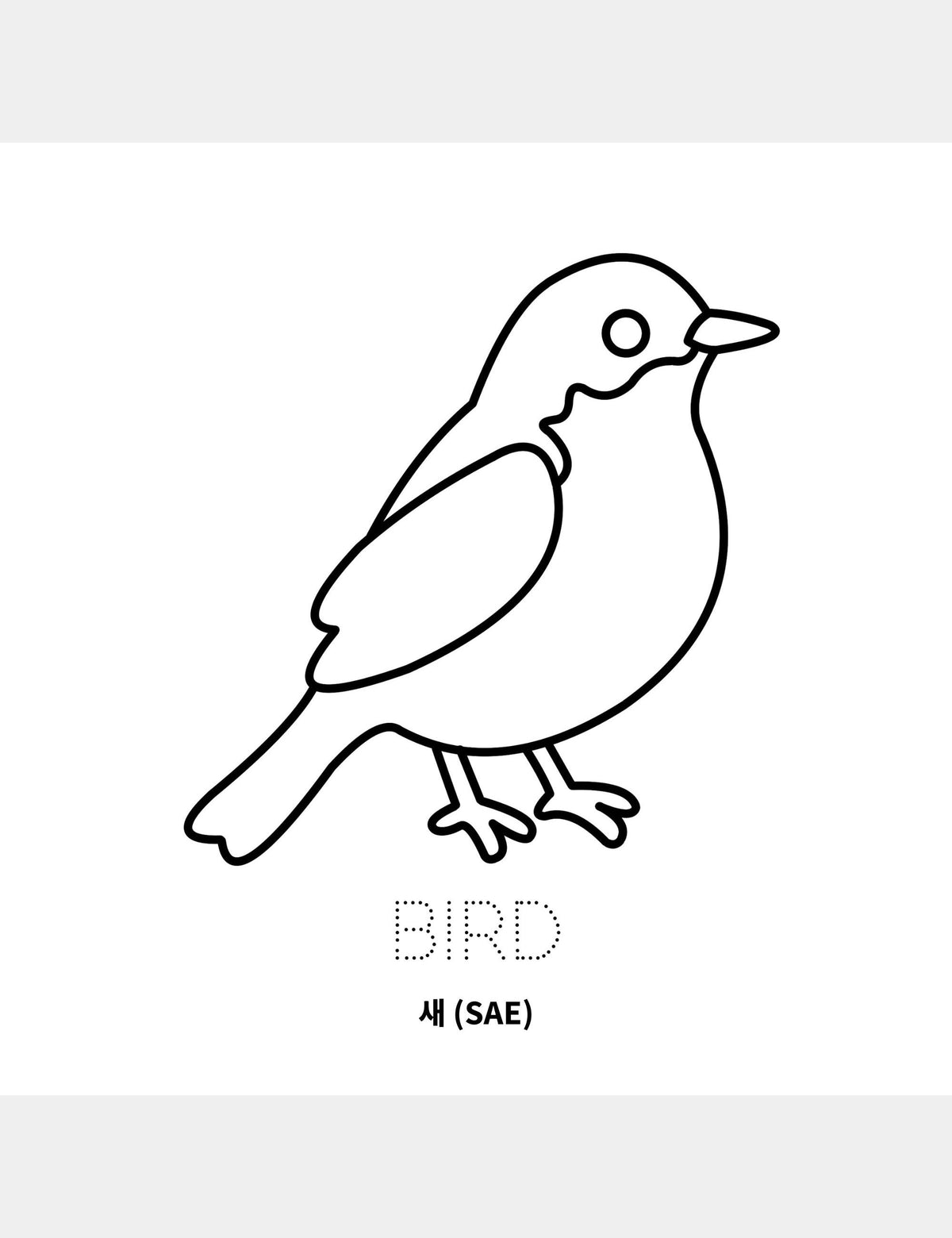 새 (Sae) coloring page from the Bella the Sunshine Girl Korean coloring book by Casey Huang, featuring a large bird to color with the traceable English word Bird and the Korean word 새.
